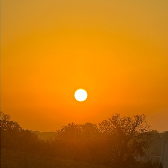 Meet your Posher, Mandi - Picture 3 of 16